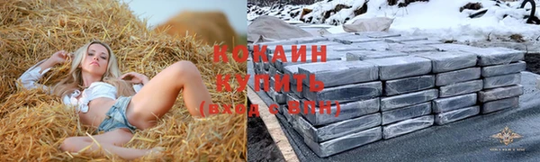 apvp Михайлов