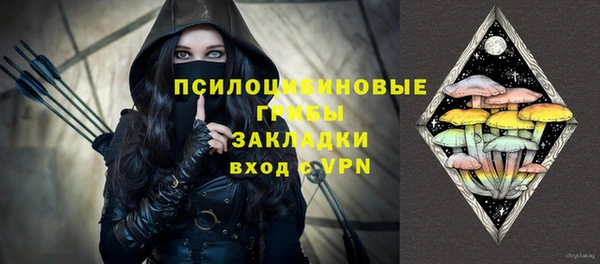 дживик Навашино