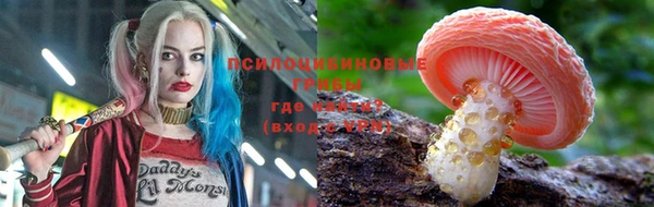 дживик Навашино