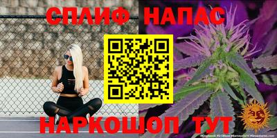 эйфоретик Гусь-Хрустальный