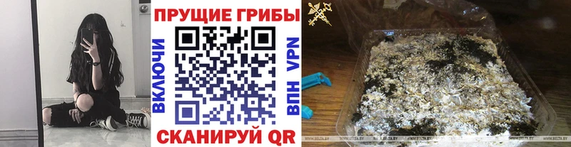 наркотики  KRAKEN tor  darknet телеграм  Новодвинск  Галлюциногенные грибы MAGIC MUSHROOMS 