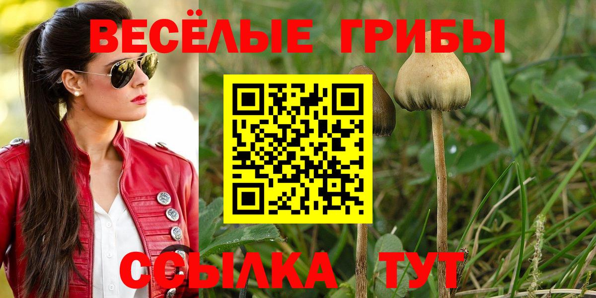Псилоцибиновые грибы MAGIC MUSHROOMS  Вход с VPN  Новодвинск 