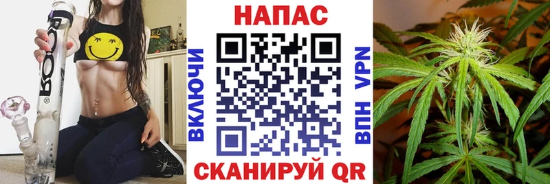 Канабис конопля  Новодвинск 